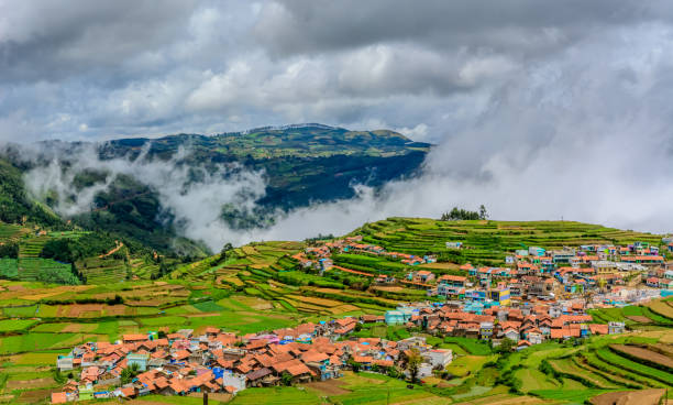 Scenic Mountain Tours